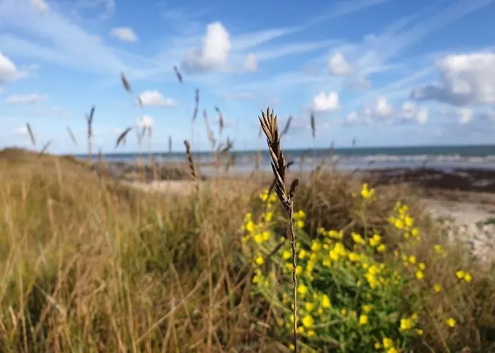 Côté - Jardin Privatif à 200m De La *